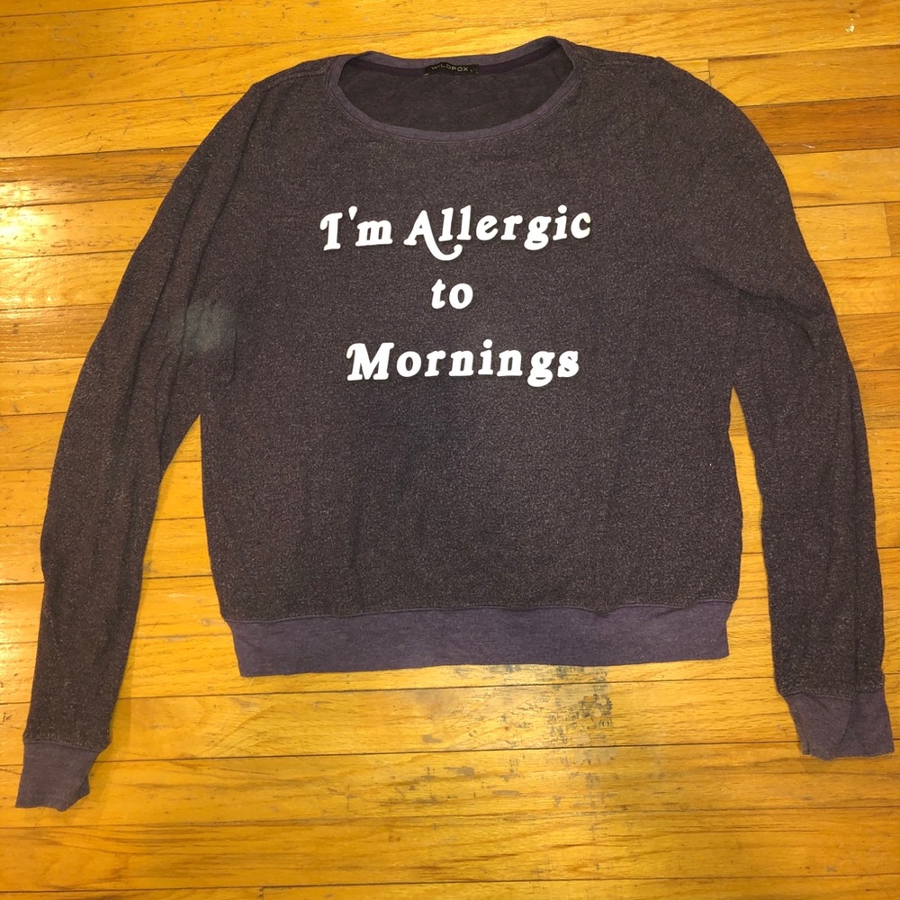 Purple Wildfox Long Sleeve Sweater